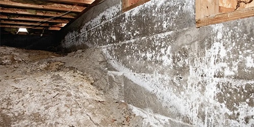 Triangle Radiant Barrier | Why Mold Remediation in Crawl Space Is Essential for a Healthy Home
