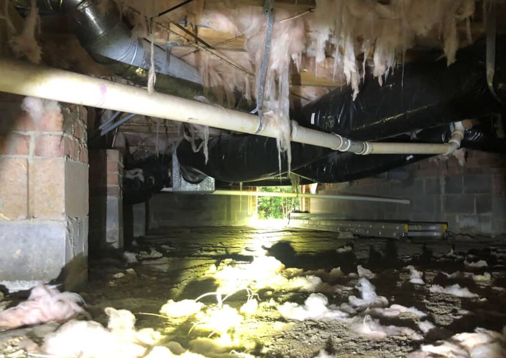 Fiberglass Insulation in Raleigh: When It Becomes a Smart Home Upgrade