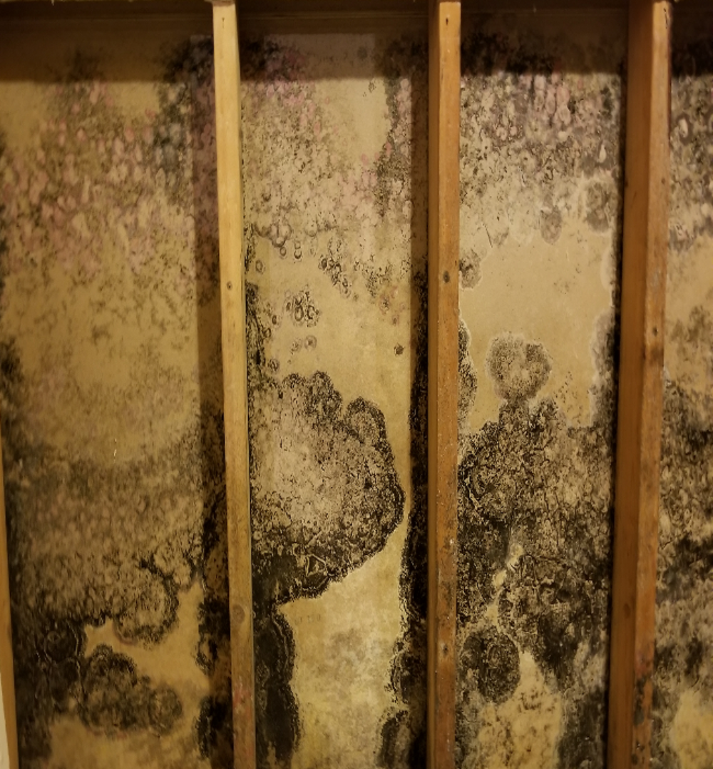 benefits crawl space